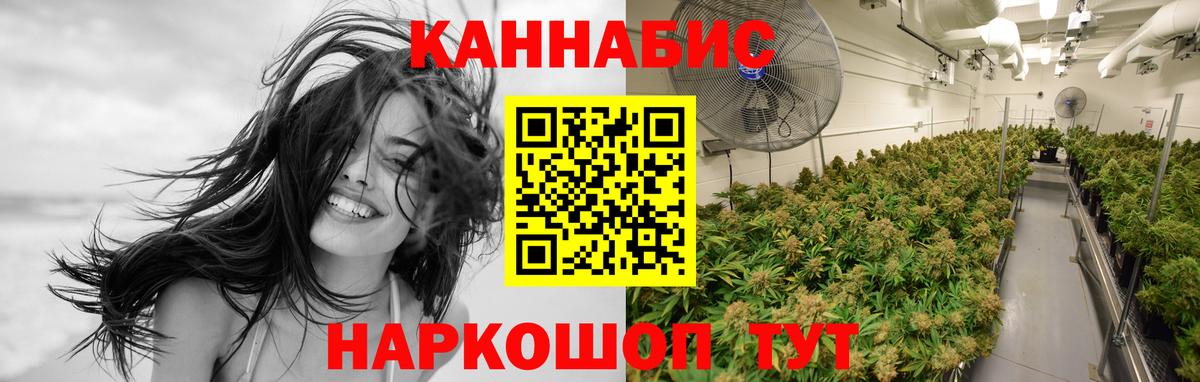 Конопля SATIVA & INDICA  Бошки марихуана конопля  Канабис планчик  Белая Калитва  Вход с VPN 
